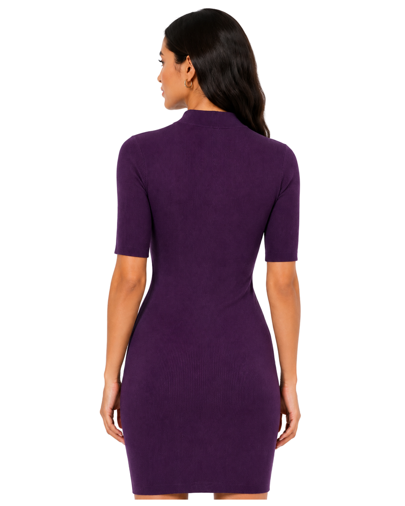Plum Elegance Mini Dress