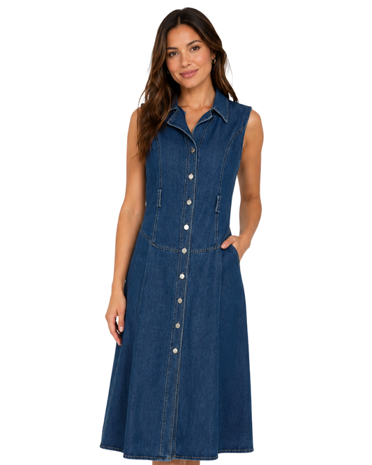 Indigo Front-Button Maxi Dress